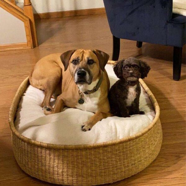 extra extra large woven dog bed basket