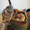 Bolga Pot Basket - SN.04