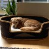 a woven dog bed basket