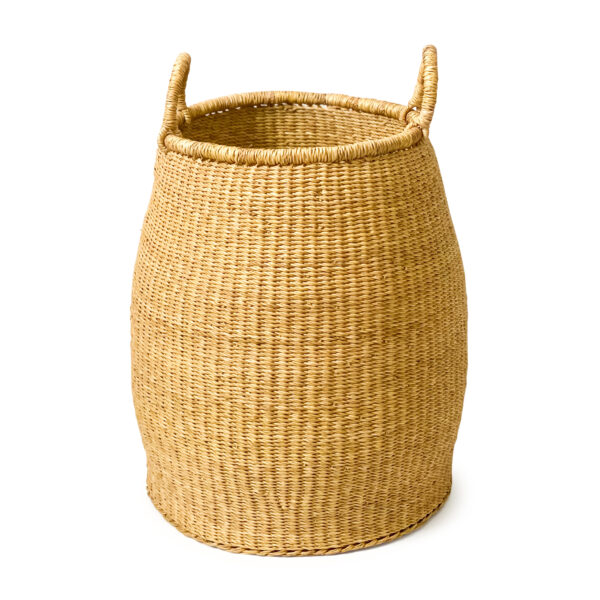 a woven plant basket on a white background