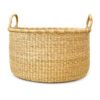 a woven plant basket with handles on a white background