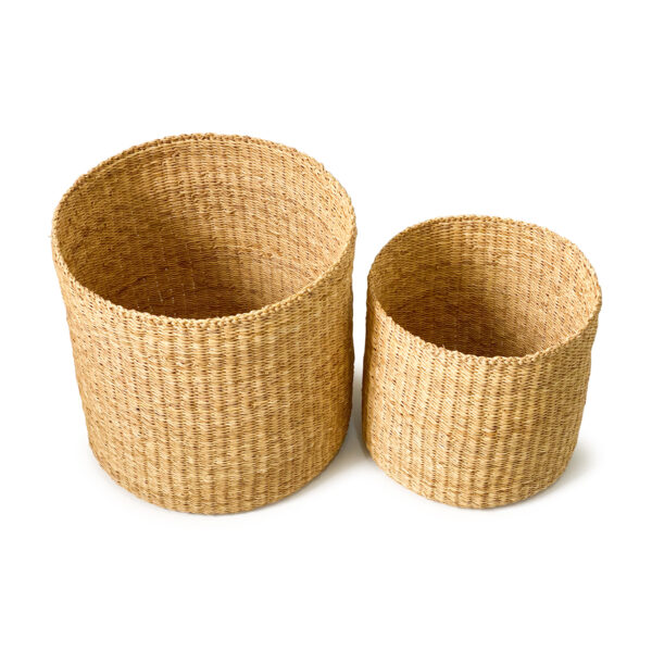 two woven plant baskets